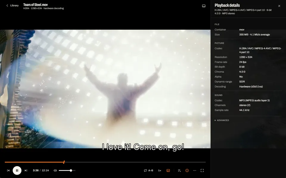 The playback details panel beside the picture, listing container, codec, resolution, frame rate, bit depth, chroma, alpha, dynamic range, decoder and sound.
